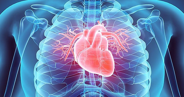 ECM in Cardiac Disease